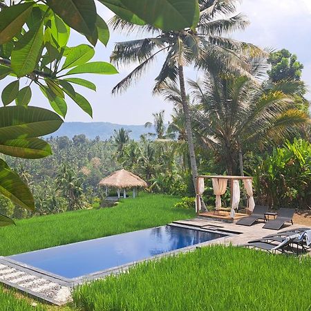 Bali De Pardis Cottage 문덕 외부 사진