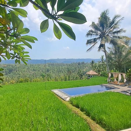 Bali De Pardis Cottage 문덕 외부 사진