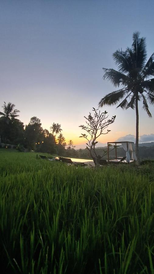 Bali De Pardis Cottage 문덕 외부 사진