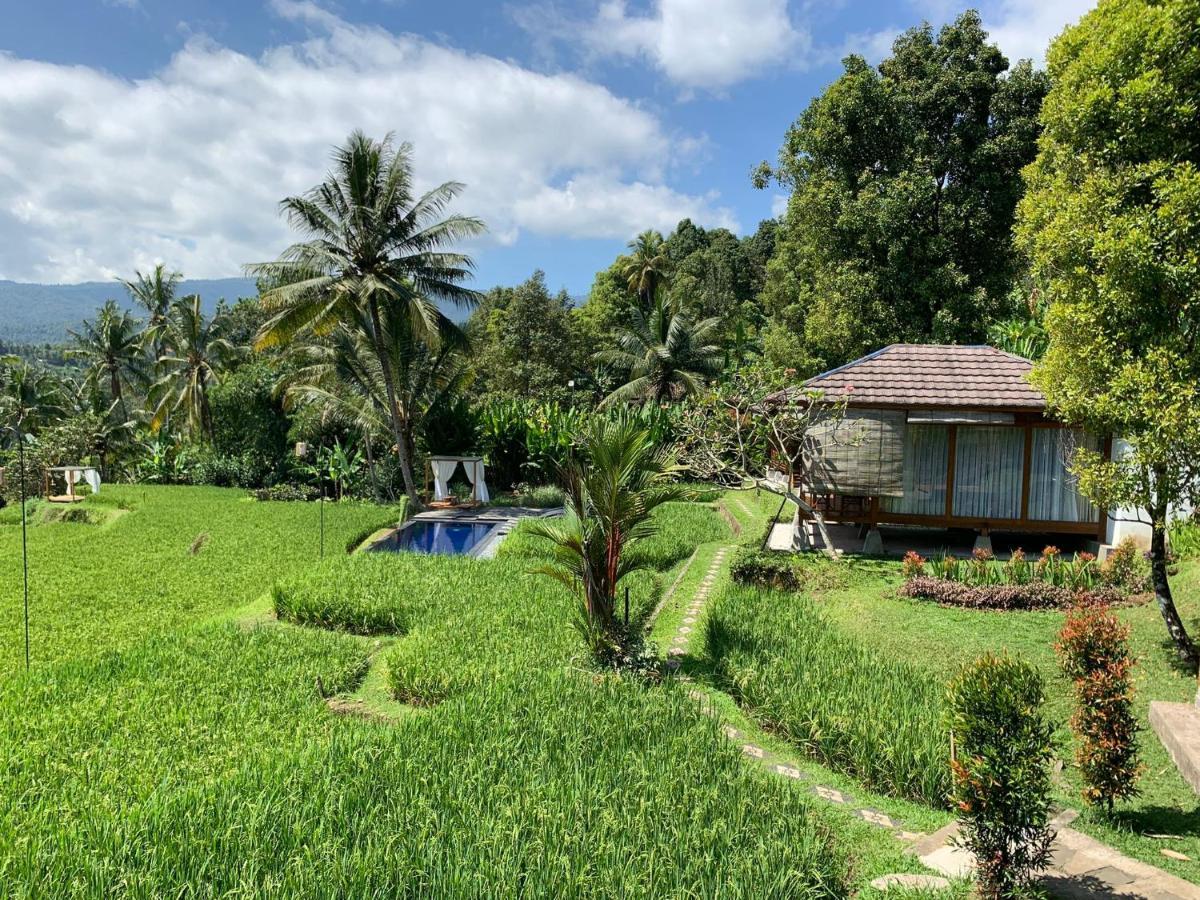 Bali De Pardis Cottage 문덕 외부 사진