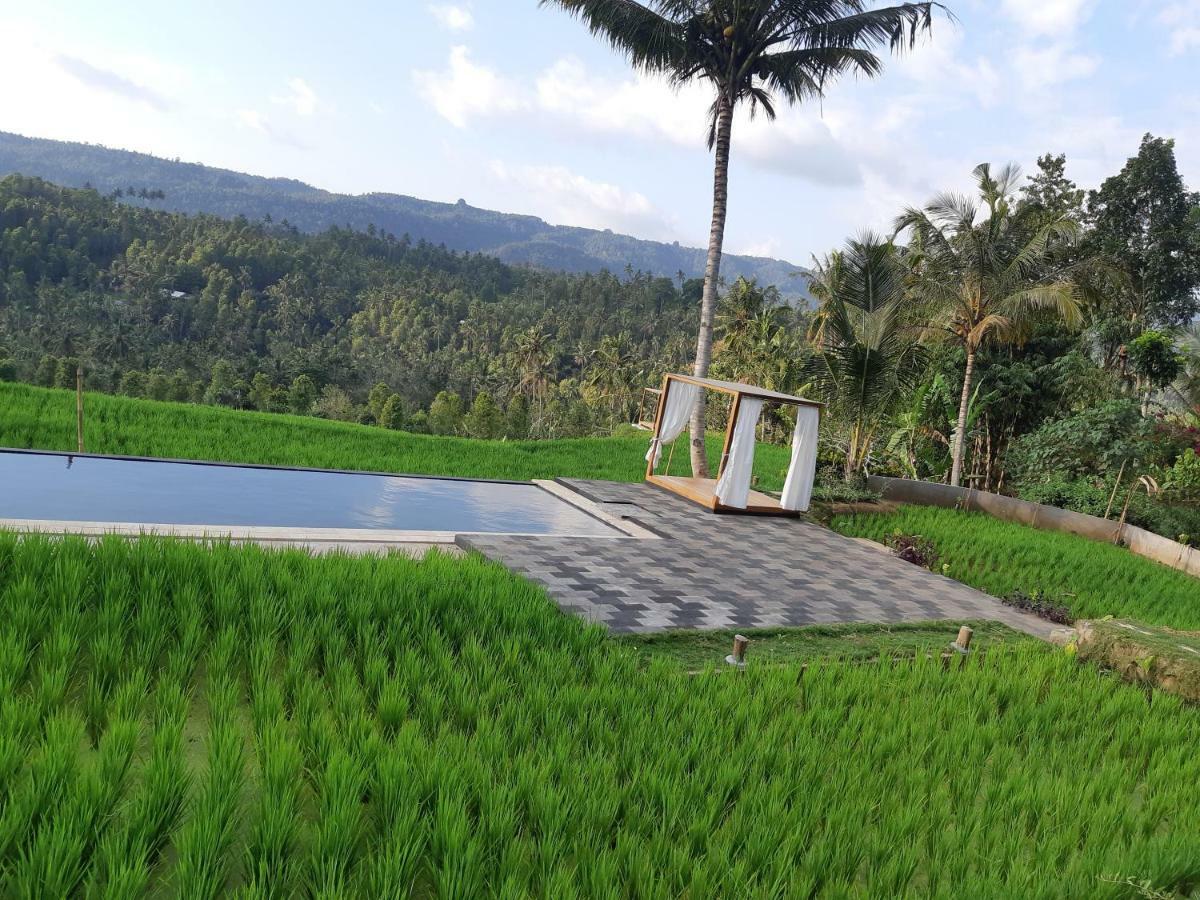 Bali De Pardis Cottage 문덕 외부 사진