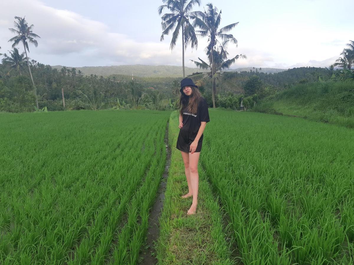 Bali De Pardis Cottage 문덕 외부 사진