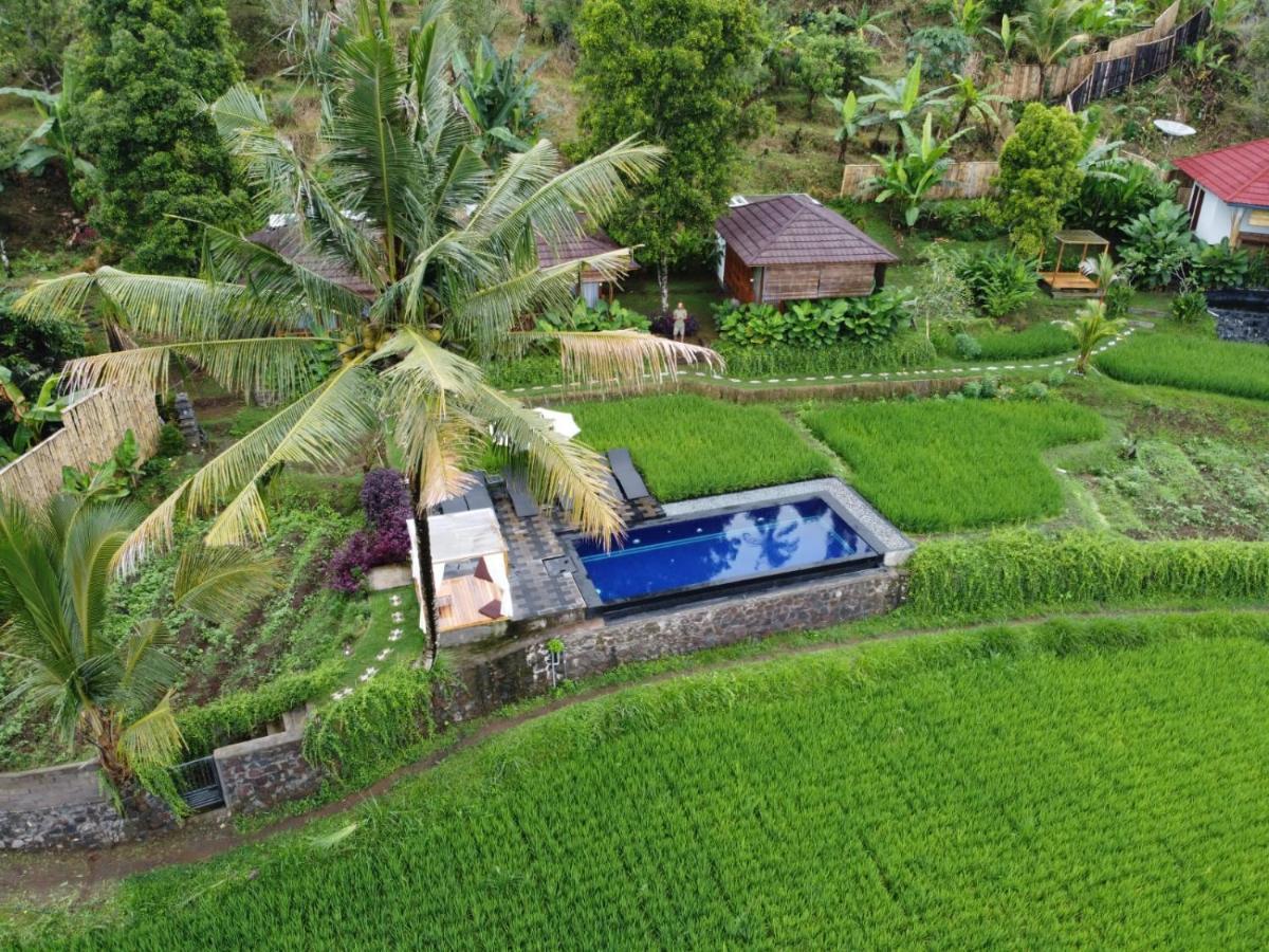 Bali De Pardis Cottage 문덕 외부 사진