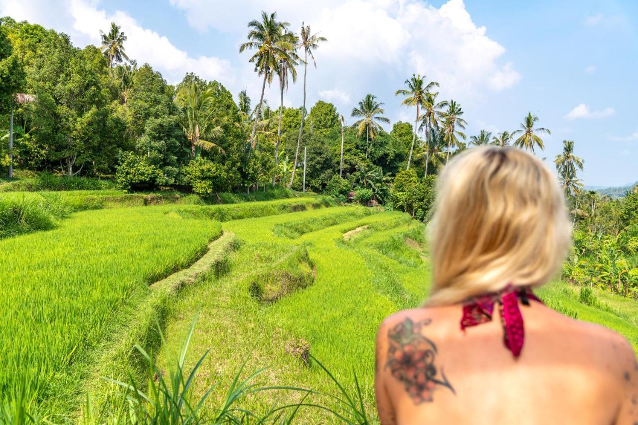 Bali De Pardis Cottage 문덕 외부 사진